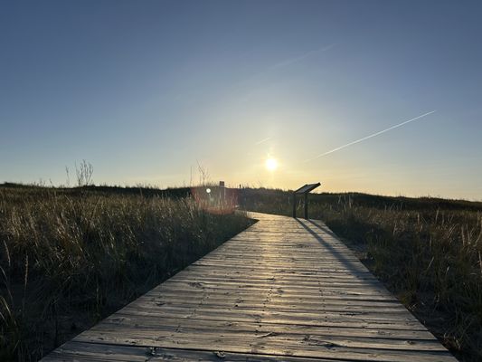 Rosy Mound Natural Area by null