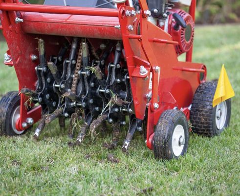 Aeration - Give us a call today!
5404557231
We offer a wide range of services
Check us out at
https://www.ejdlandscapingllc.com Aeration - Give us a call today!
5404557231
We offer a wide range of services
Check us out at
https://www.ejdlandscapingllc.com