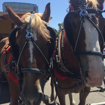 Solvang Trolley & Carriage - Claire and Stella! - Transportation Near Me - Solvang, California Solvang Trolley & Carriage - Claire and Stella! - Transportation Near Me - Solvang, California
