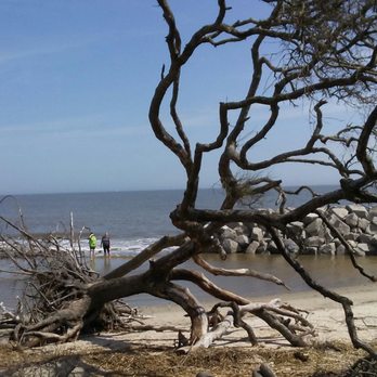 Jekyll Island - Scenery on the trails. - Bike Rentals Near Me - Jekyll Island, Georgia