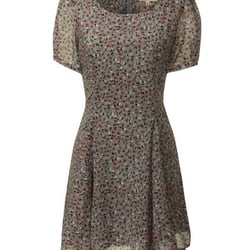 The Fashion Shop - Dress 8 to 14