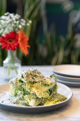 North Italia by null