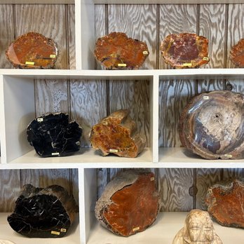 Crystal Forest Museum & Gifts - Petrified Wood - Museums Near Me - Holbrook, Arizona Crystal Forest Museum & Gifts - Petrified Wood - Museums Near Me - Holbrook, Arizona