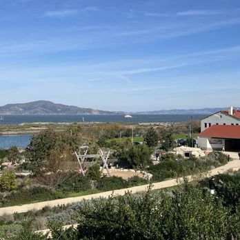The Presidio - Parks Near Me