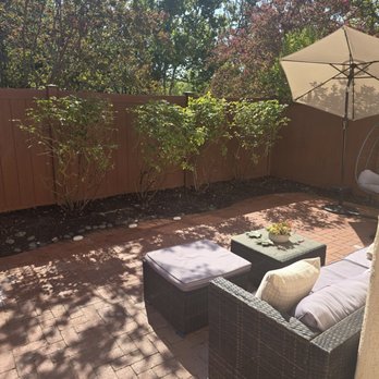 Brian’s landscape and maintenance - Tree Services Near Me Brian’s landscape and maintenance - Tree Services Near Me
