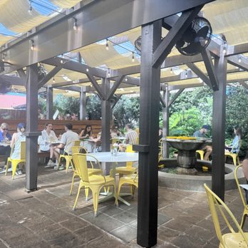 Sunflower Caffe - Outside back patio area - Coffee & Tea Near Me - Sonoma, California