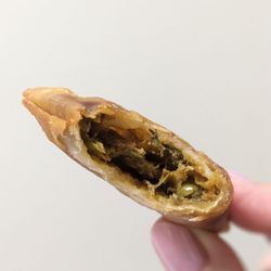Chowrasta Indian Cuisine - Cross-section of my onion samosa