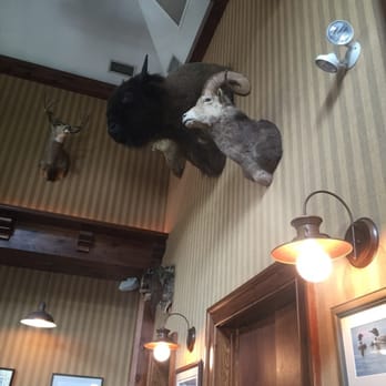 Fairview Cafe - I had lunch with a buffalo! - American Near Me - Tafton, Pennsylvania
