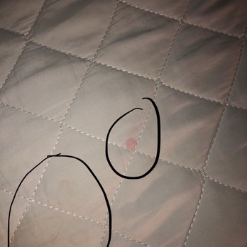 Great Wolf Lodge - Pee and blood on new sheets - Resorts Near Me - Williamsburg, Virginia