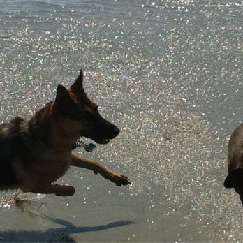 Coronado Dog Beach - Beaches Near Me - Coronado, California Coronado Dog Beach - Beaches Near Me - Coronado, California