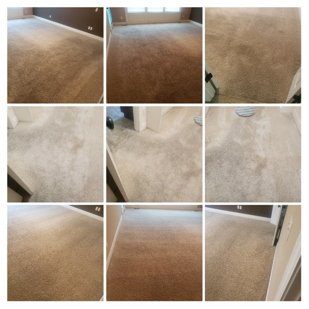 JAMES CARPET CLEANING Updated September 2024 22 Photos Overland