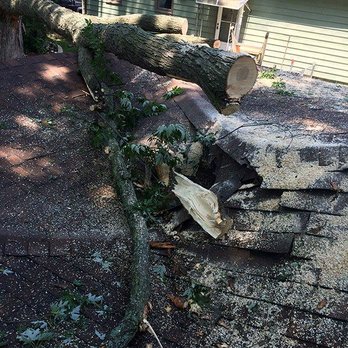William's Tree Service - Tree Services Near Me - Baraboo, Wisconsin William's Tree Service - Tree Services Near Me - Baraboo, Wisconsin