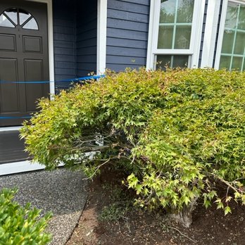 JT West Coast Gutter & Roofing - Gutter Services Near Me - North Plains, Oregon