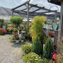 Plants Plus Nursery