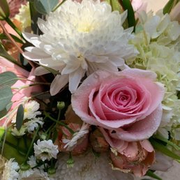 Look at the dew drops on the roses... simply beautiful. Look at the dew drops on the roses... simply beautiful.