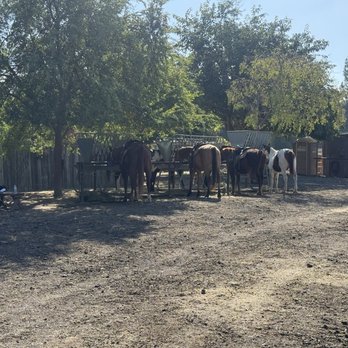 Ojai Valley Trail Riding - Horseback Riding Near Me - Ojai, California Ojai Valley Trail Riding - Horseback Riding Near Me - Ojai, California