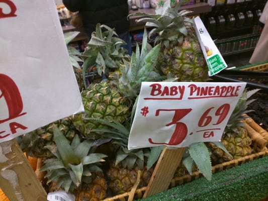 Manhattan Fruit Exchange by null