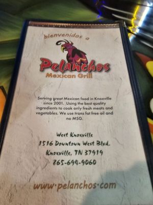 Menu photo 6 Pelanchos Mexican Grill Knoxville, TN