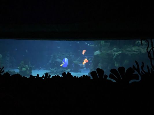 The Seas with Nemo & Friends by null