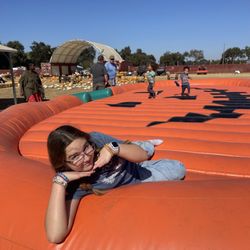 Mike’s Pumpkin Patch - Pillow pad