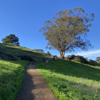 Billy Goat Hill - Billy Goat Hill - Parks Near Me - San Francisco, California