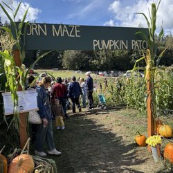 Winney Farm