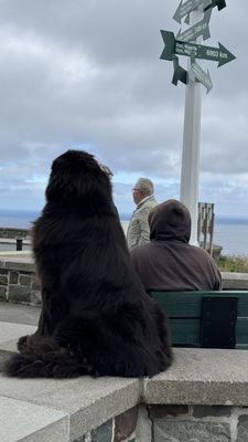 Signal Hill National Historic Site by null