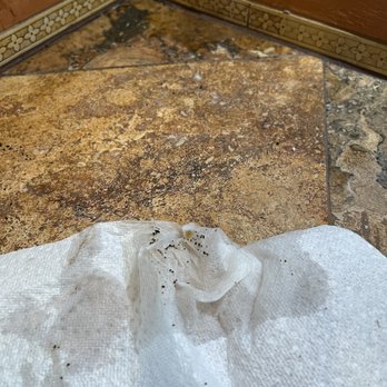 Eco Mama Green Clean  - These are the bread crumbs and debris left in the corner of the main kitchen counter - Home Cleaning Near Me - Phoenix, Arizona