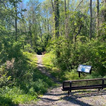 Dismal Swamp Canal Trail - Hiking Near Me - Chesapeake, Virginia Dismal Swamp Canal Trail - Hiking Near Me - Chesapeake, Virginia