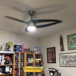Handyman Jordan - Ceiling fan, freshly installed.