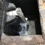 Photo of One World Plumbing & Inspectations