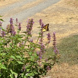 Sleepy Hollow RV Park