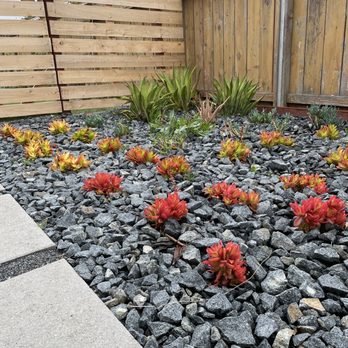 Crossman Landscape - red and yellow flowers in a rock garden - Landscaping Near Me - Santee, California Crossman Landscape - red and yellow flowers in a rock garden - Landscaping Near Me - Santee, California