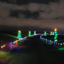 Willow Hill Lights