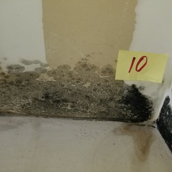 PTCC Environmental Services - Hidden mold behind HVAC - Damage Restoration Near Me - Crofton, Maryland PTCC Environmental Services - Hidden mold behind HVAC - Damage Restoration Near Me - Crofton, Maryland