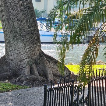 Riverwalk Linear Park - Parks Near Me - Fort Lauderdale, Florida Riverwalk Linear Park - Parks Near Me - Fort Lauderdale, Florida