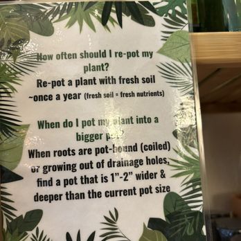 Planterday - Nurseries & Gardening Near Me - Oakland, California Planterday - Nurseries & Gardening Near Me - Oakland, California