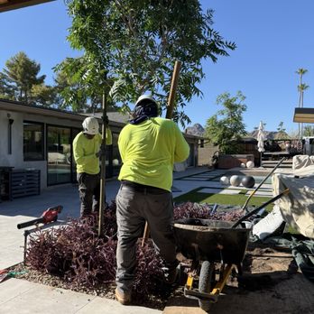 Moon Valley Nurseries - Professional tree planting by Moon Valley nurseries - Nurseries & Gardening Near Me - Phoenix, Arizona Moon Valley Nurseries - Professional tree planting by Moon Valley nurseries - Nurseries & Gardening Near Me - Phoenix, Arizona