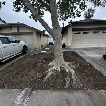 Rozehill - After pic - Landscaping Near Me