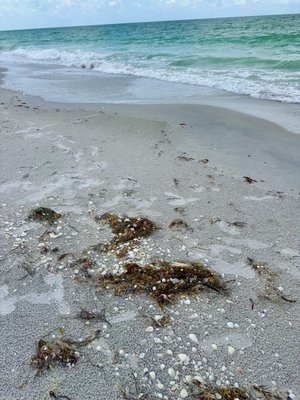 Gasparilla Island Lighthouse by null