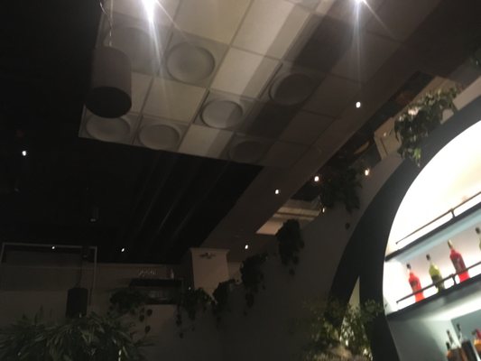 The Madrigal by null