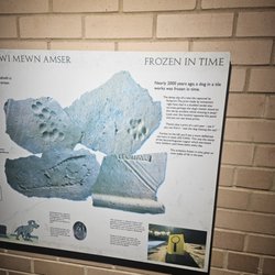 Caerleon Roman Baths