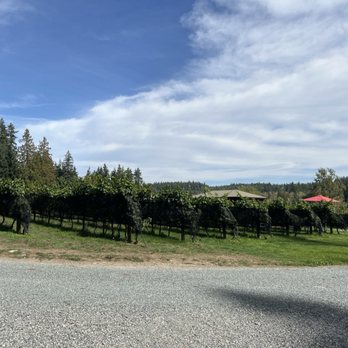 Spoiled Dog Winery - Wineries Near Me - Langley, Washington Spoiled Dog Winery - Wineries Near Me - Langley, Washington