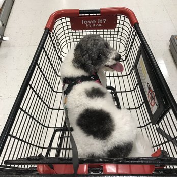 TJ MAXX - Updated September 2025 - 35 Photos & 56 Reviews - 13603 20th