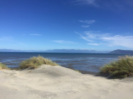 Farewell Spit by null