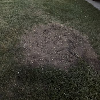 Makin Statements Lawn Care - Lawn Services Near Me