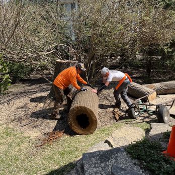 J & J Tree Services - Tree Services Near Me J & J Tree Services - Tree Services Near Me