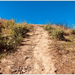 Nature Trail - Grotto trail has many steep elevation. Your stamina will be tested. :D