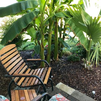 Hooked On Palms - Nurseries & Gardening Near Me - Medford, Oregon
