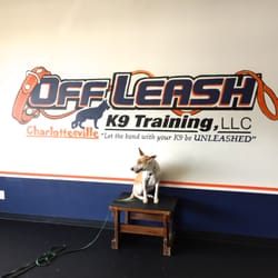 Off Leash K9 Training - Lucy practicing "place" at Off Leash K9 Training